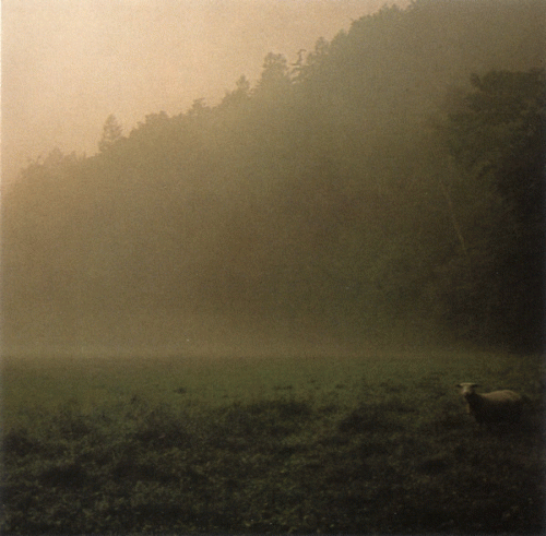 Dead Raven Choir : Death to Dead Wolves